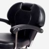 "KATHERINE" Reclining Salon Chair, All Purpose Chair