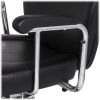 "DALLAS" Reclining Salon Chair, All-Purpose Chair