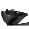 Delta Collection - "LYDIA" Shampoo Bowl Backwash Unit with UPC Fixtures
